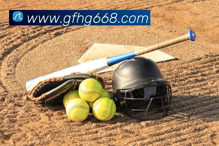 未来规划